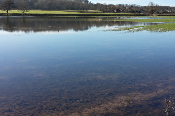 Flooded fields