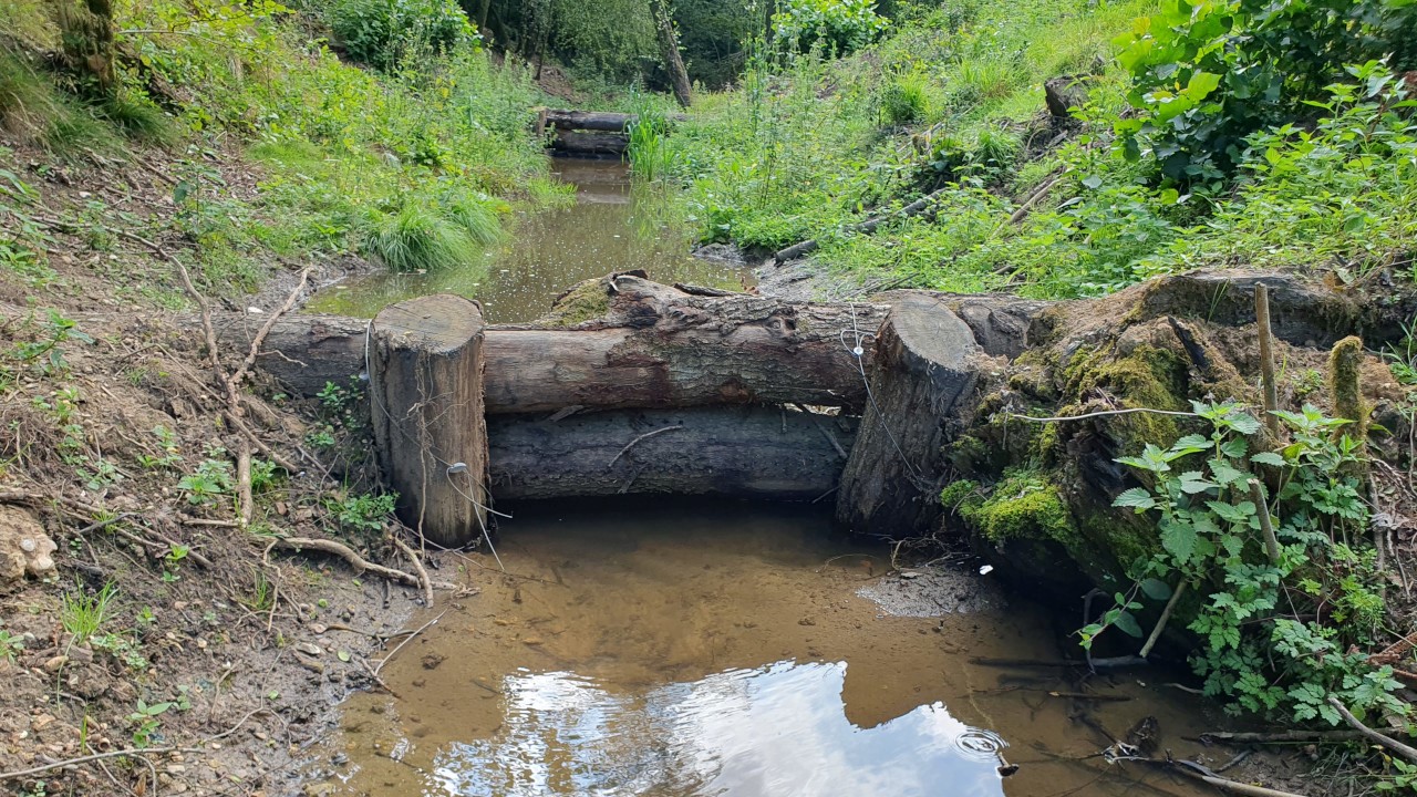 Leaky dam in Redhill Copse