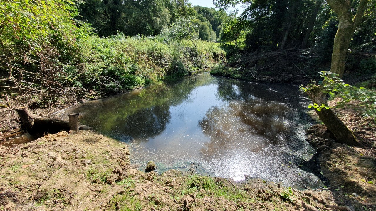 Dug out pond in Redhill Copse