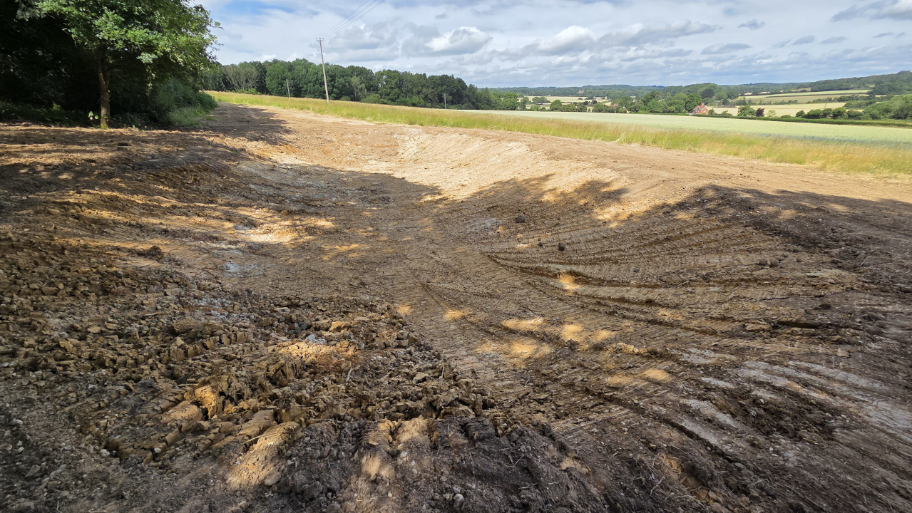 Pond 1 in Waven field